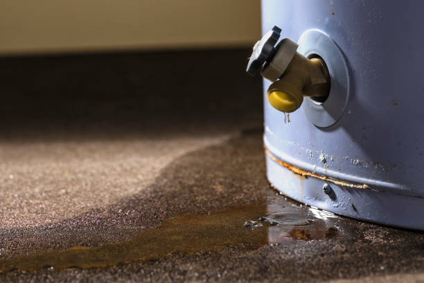 Henderson, GA Water damage restoration Pros
