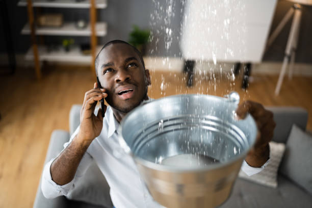 Best Water damage restoration process  in Henderson, GA