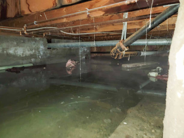 Best Fire Damage Restoration  in Henderson, GA