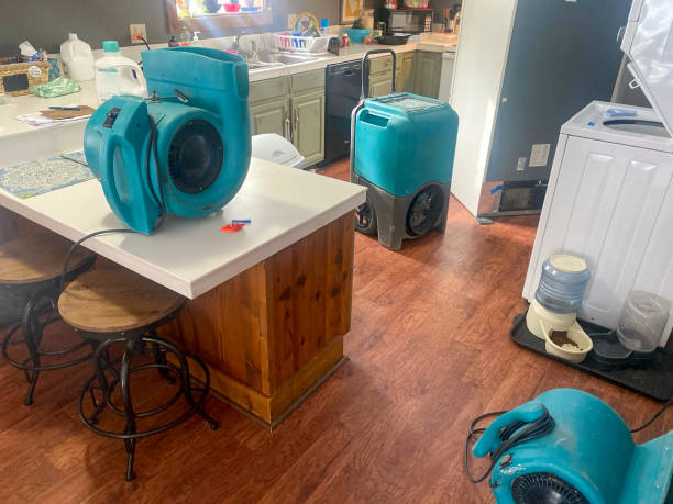 Best 24-hour water damage restoration  in Henderson, GA