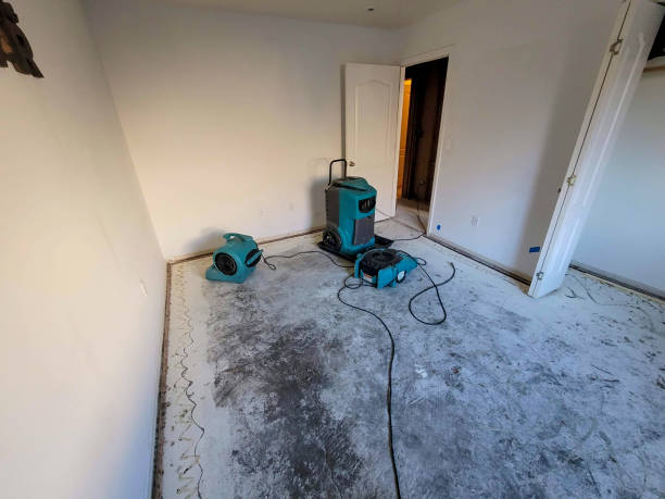 Best Water damage restoration near me  in Henderson, GA