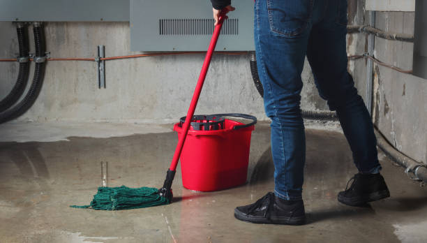 Best Flood damage cleanup  in Henderson, GA