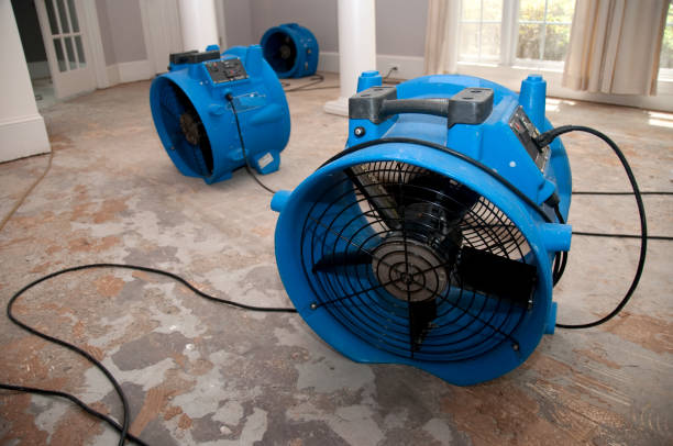 Best Water damage restoration near me  in Henderson, GA