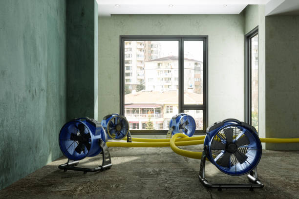 Best Water damage contractors near me  in Henderson, GA