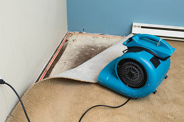 Best Sewage cleanup and water damage restoration  in Henderson, GA